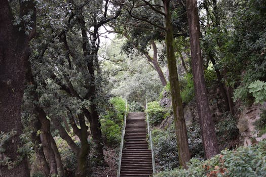 How Payout Processing Works for Online Casinos